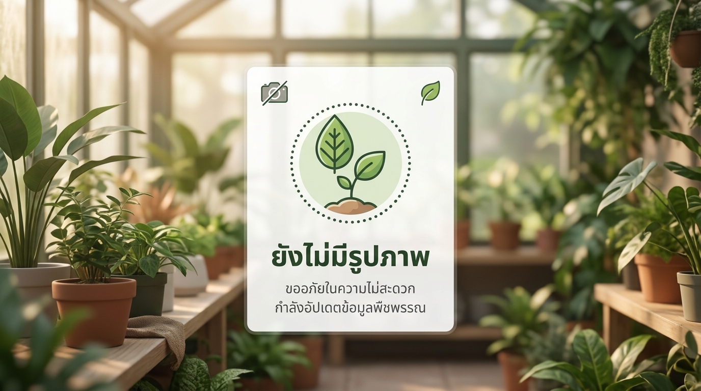 กระถินณรงค์